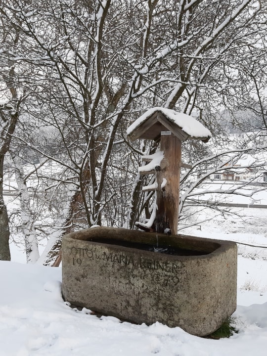 Gartenanlage Hotel Reinerhof