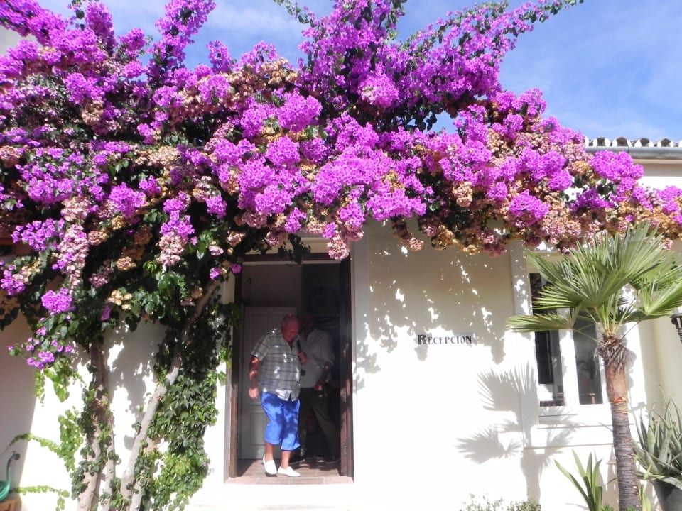 The reception entrance Hotel La Fuente De La Higuera