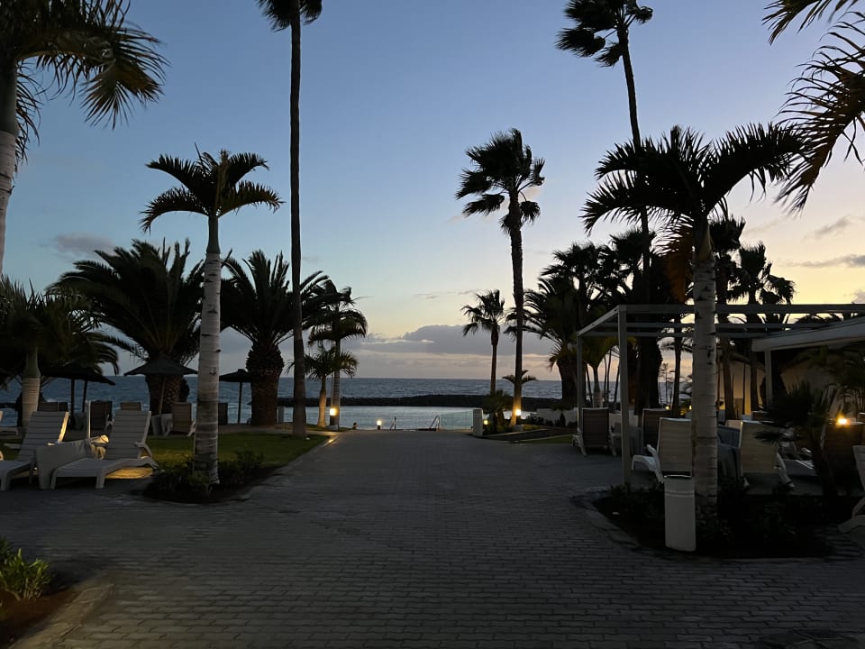 Gartenanlage Hotel Riu Palace Tenerife