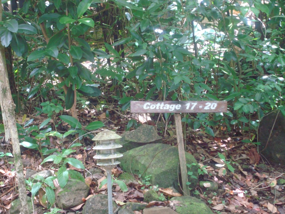 Weg zum Cottage Hotel Jungle Bay Resort & Spa