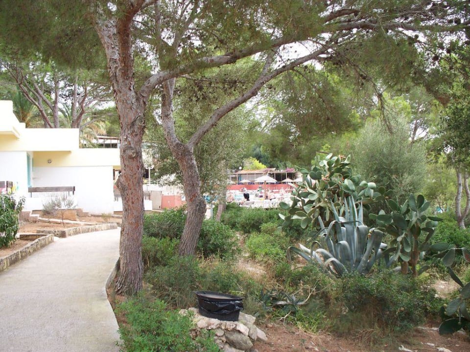Weg zu unserem Bungalow Sun Club Eldorado