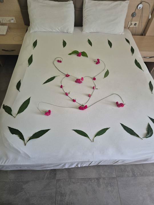 Zimmer Mira Meridia Beach Hotel