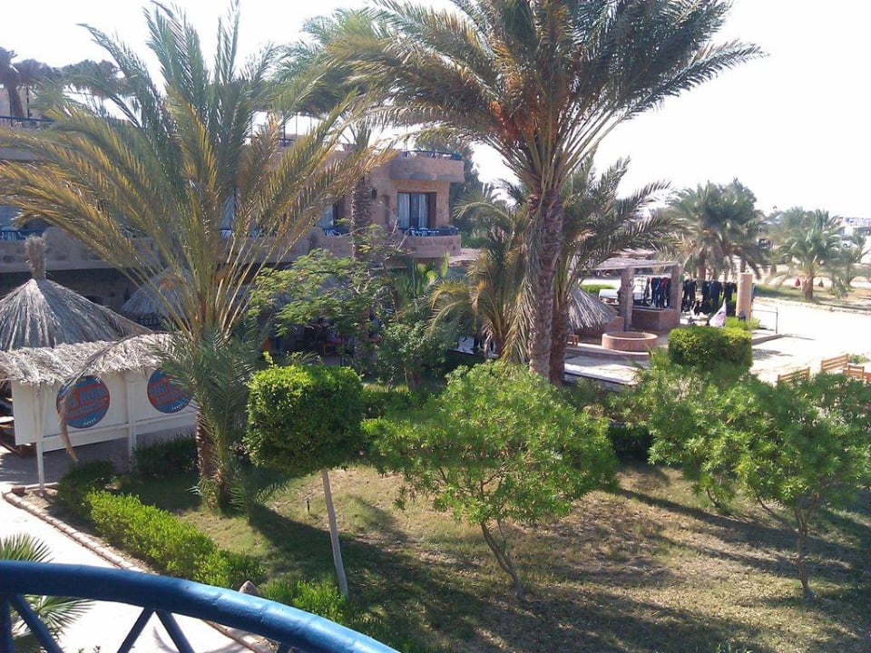 Sub Aqua Tauchbasis Utopia Beach Club