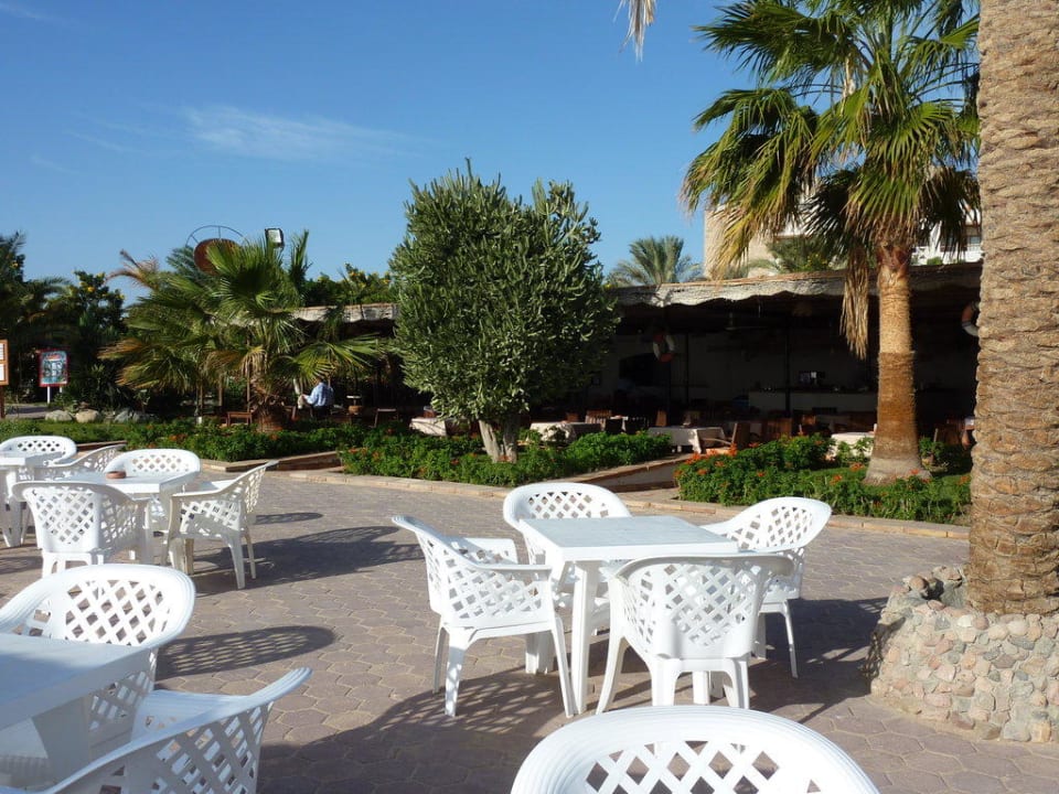 Strandbar Fort Arabesque Resort, Spa & Villas