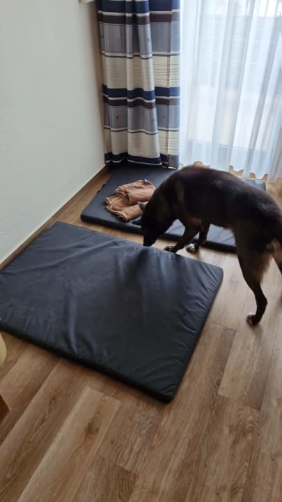 Zimmer Landgasthof Hotel Hirsch