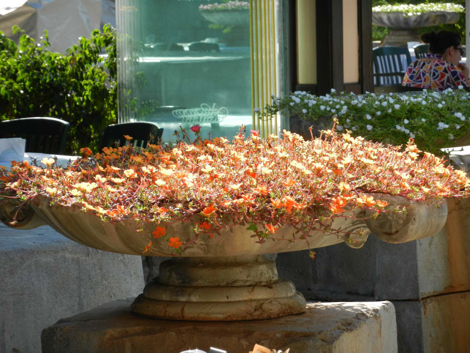 Xanadu  Xanadu Resort Hotel