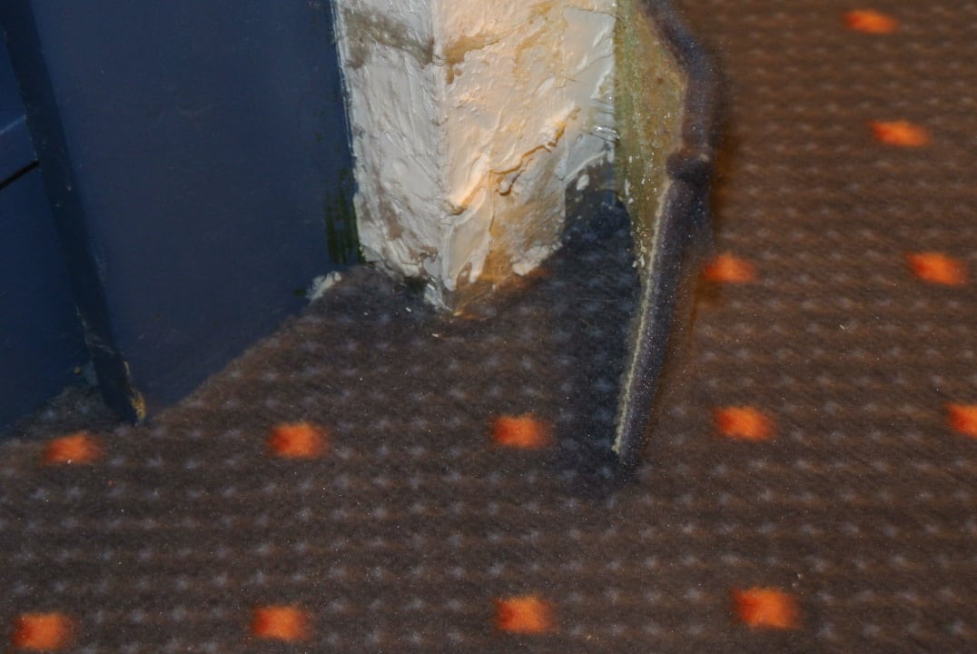 Teppich löst sich überall ab Panoramic - Ihr Apartmenthotel im Harz