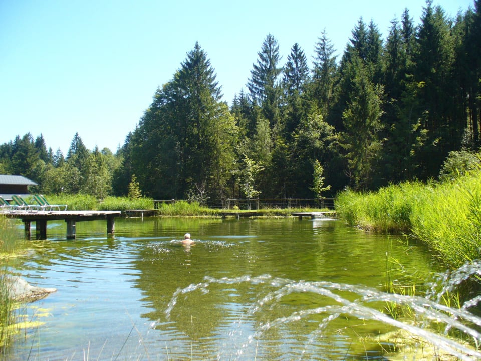 Schwimmteich im Garten Hotel Jagdschlössl