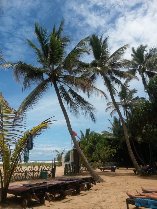 Hoteldtrand  Hotel Club Bentota