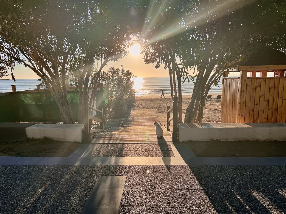 Gartenanlage Nerton Hotel - Erwachsenenhotel ab 16 Jahren