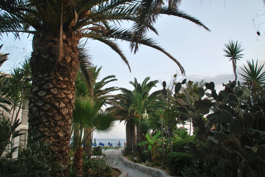 Gartenanlage HARPIN Happy Days Beach Hotel