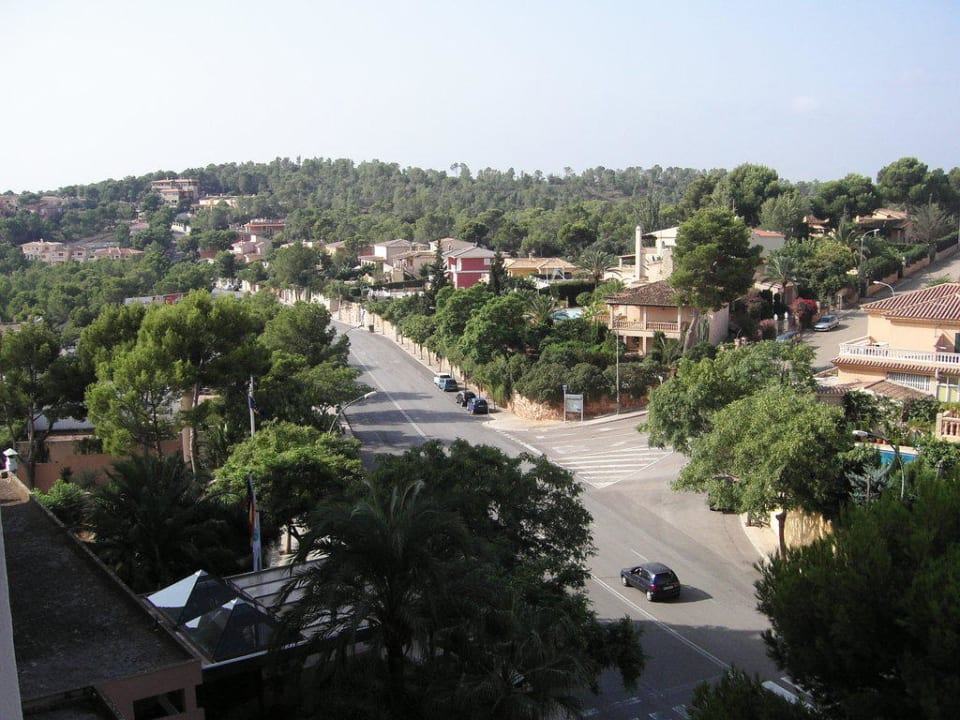 Blick vom Balkon Globales Mimosa