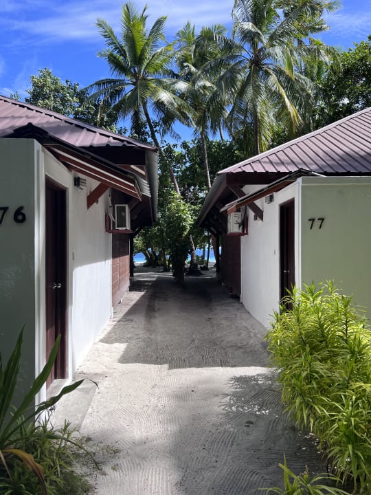 Zimmer Filitheyo Island Resort