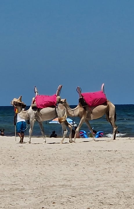 Strand TMK Marine Beach by Turismark