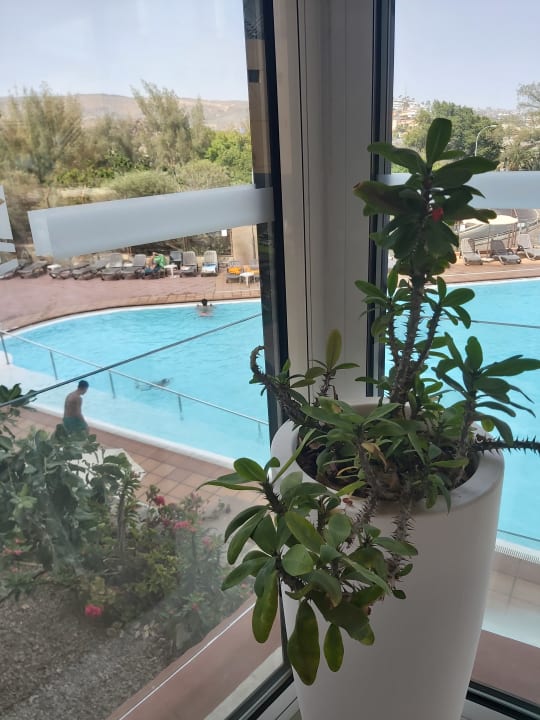 Ausblick Corona Roja