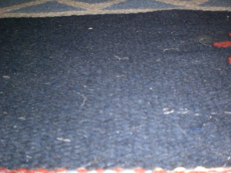 Lieber nicht Barfuss im Zimmer Le Jardin Aqua Park Resort