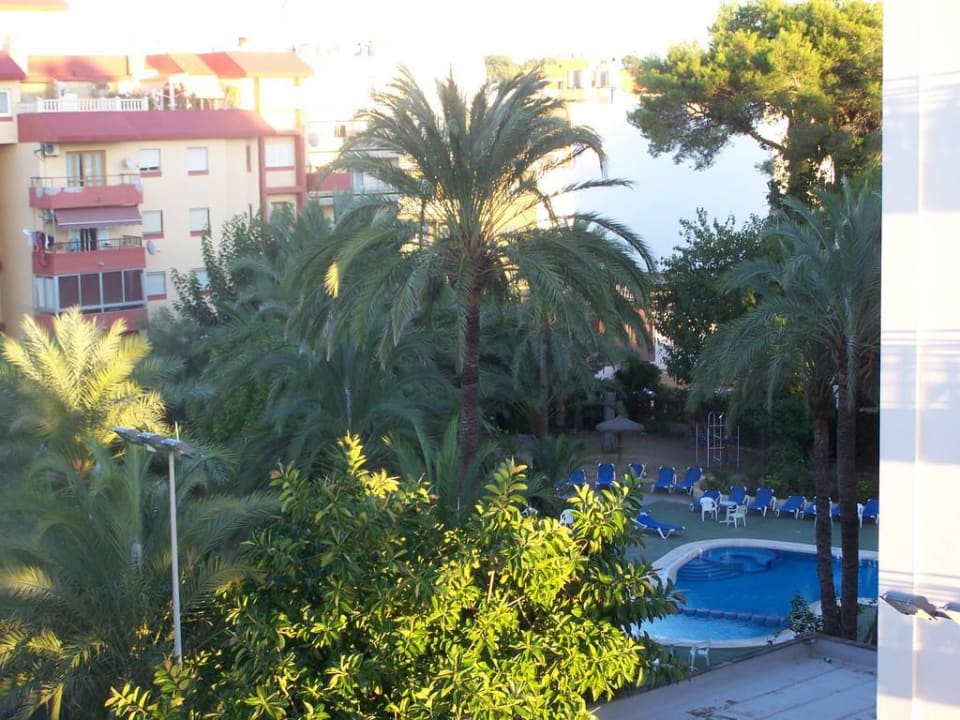 Blick zur Poolanlage Hotel HM Ayron Park