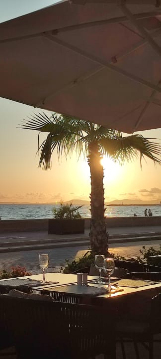 Gastro Aparthotel Fontanellas Playa