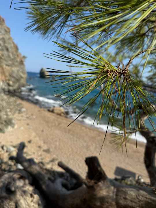 Strand Rixos Premium Tekirova