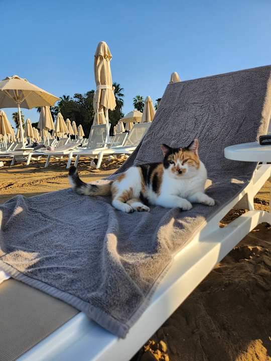 Strand Seaden Quality Resort & Spa