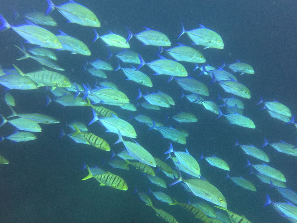 Sport & Freizeit NH Collection Maldives Reethi Resort