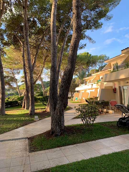 Gartenanlage Iberostar Waves Pinos Park