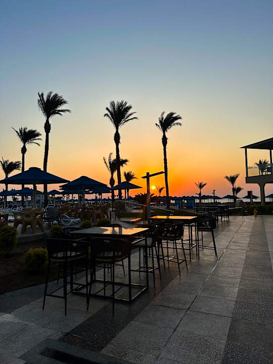 Gartenanlage Beach Albatros Resort