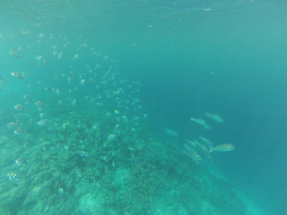 Fischs Kuredu Island Resort & Spa