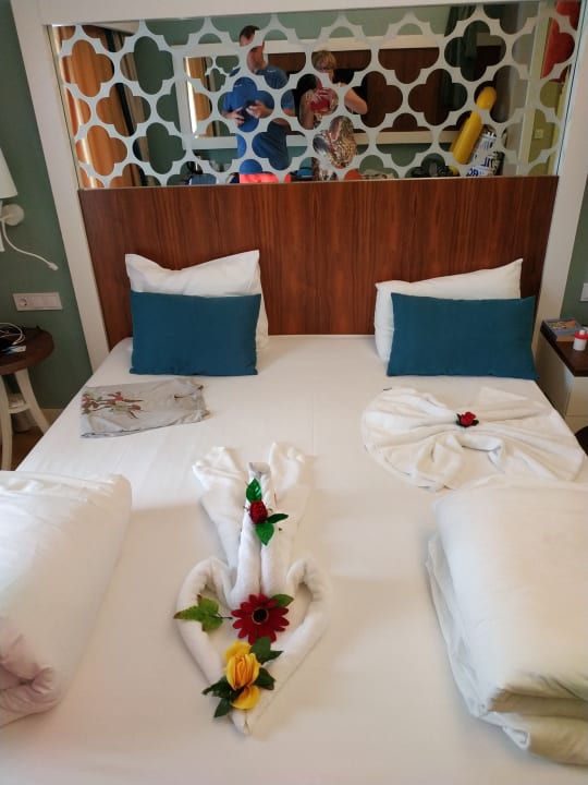 Zimmer Seashell Vega