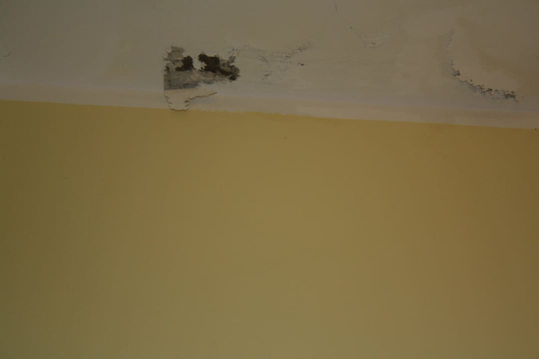 Decke Hotel San Carlo Vacanze