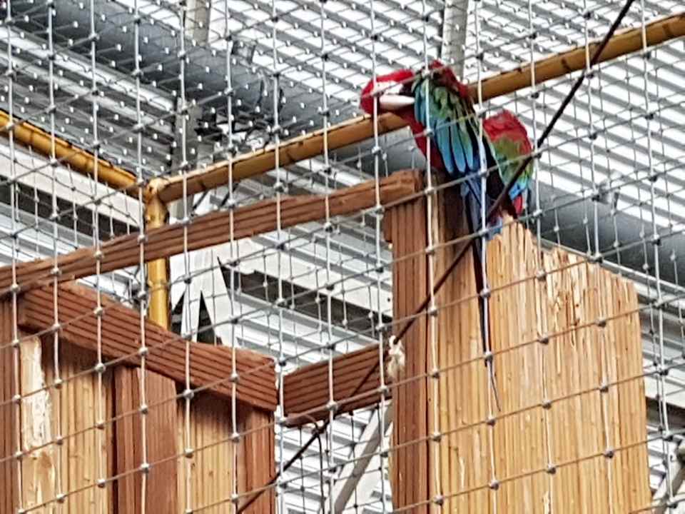 Sonstiges Tropical Islands Resort