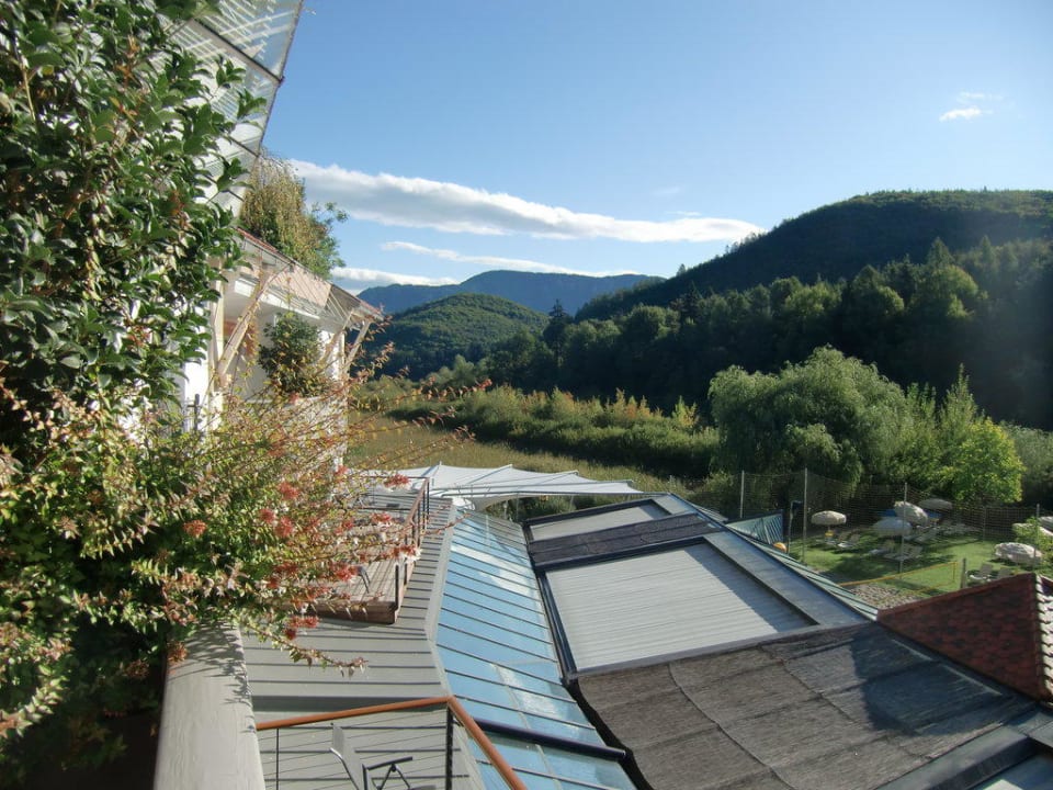 Blick Richtung See Gartenhotel Moser