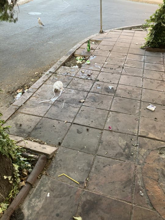 Außenansicht MPM Hotel Astoria