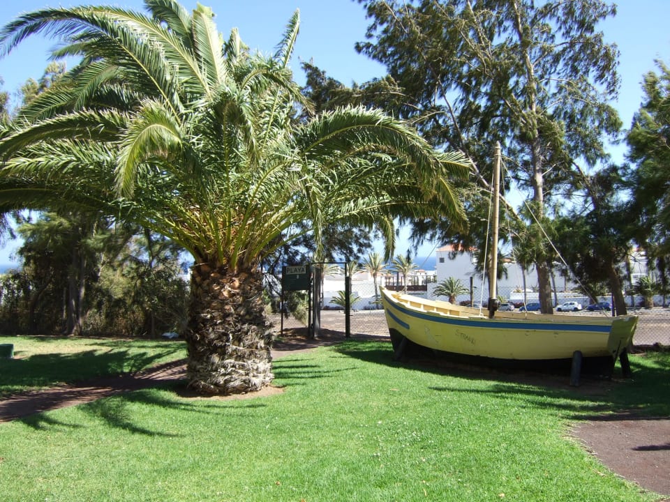 Hier geht es zum Strand allsun App.-Hotel Esquinzo Beach