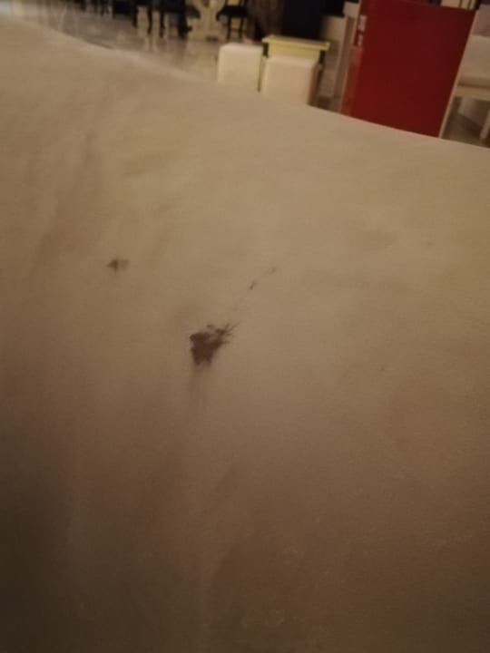 Lobby Sentido Caribbean World Soma Bay