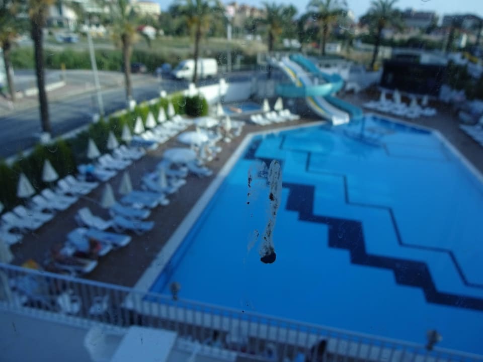 Vogelkot Palm World Side Resort & Spa