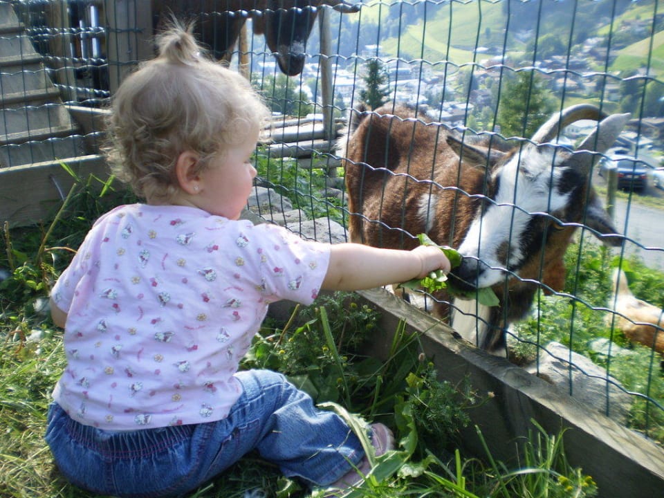 Gina beim Ziegenfüttern Familienresort Ellmauhof – das echte All Inclusive