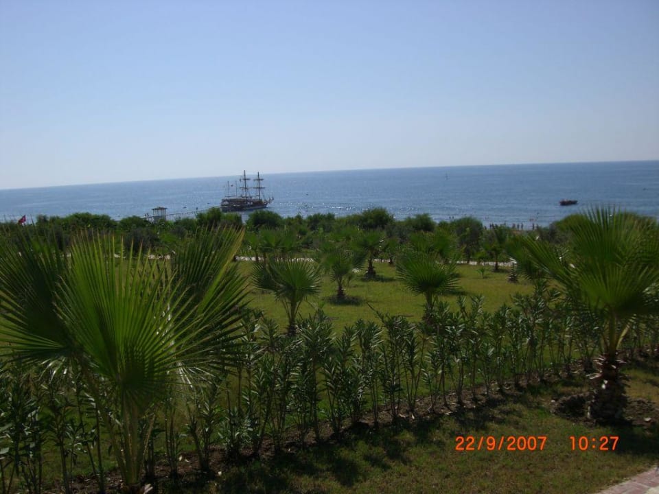 Die Palmen-Plantage Alba Resort Hotel