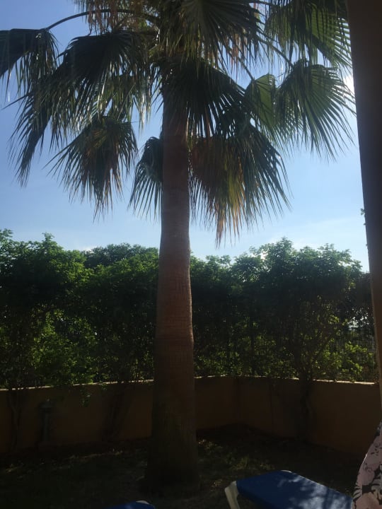 Zimmerausblick Grupotel Playa de Palma Suites & Spa