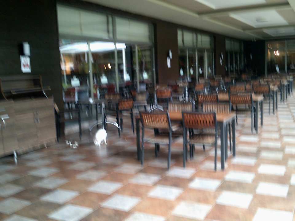 Gastro Calimera Hane Garden