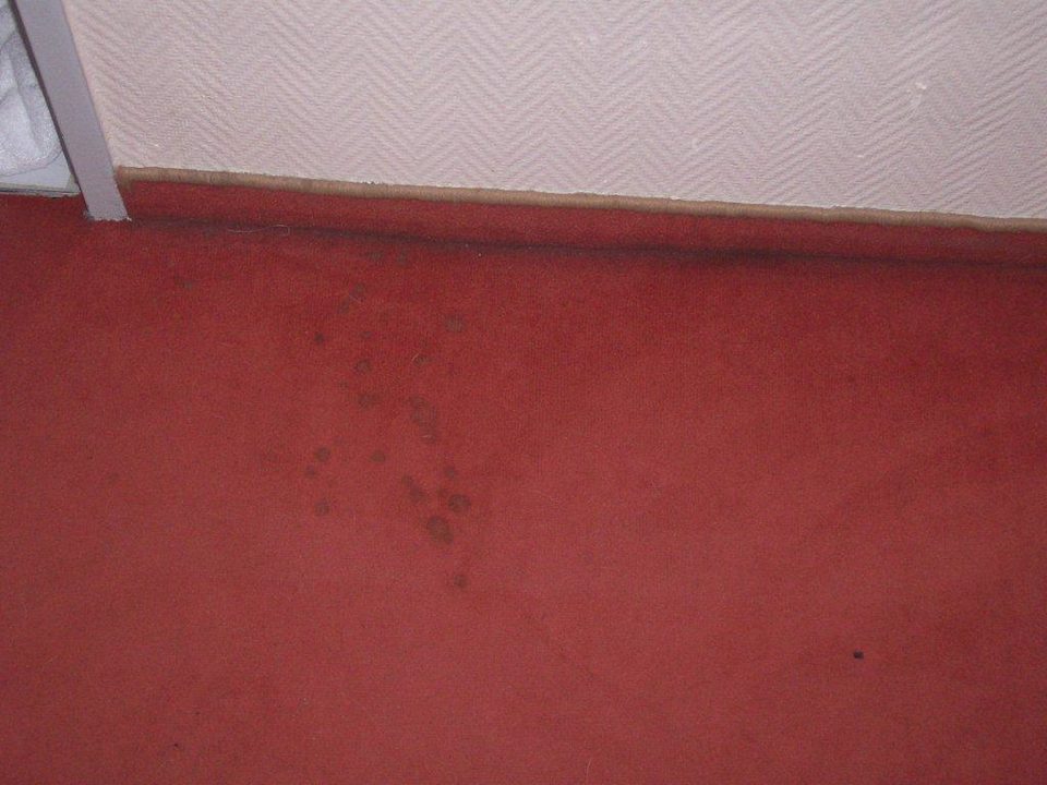 Leckere Flecken PLAZA INN Hamburg Moorfleet