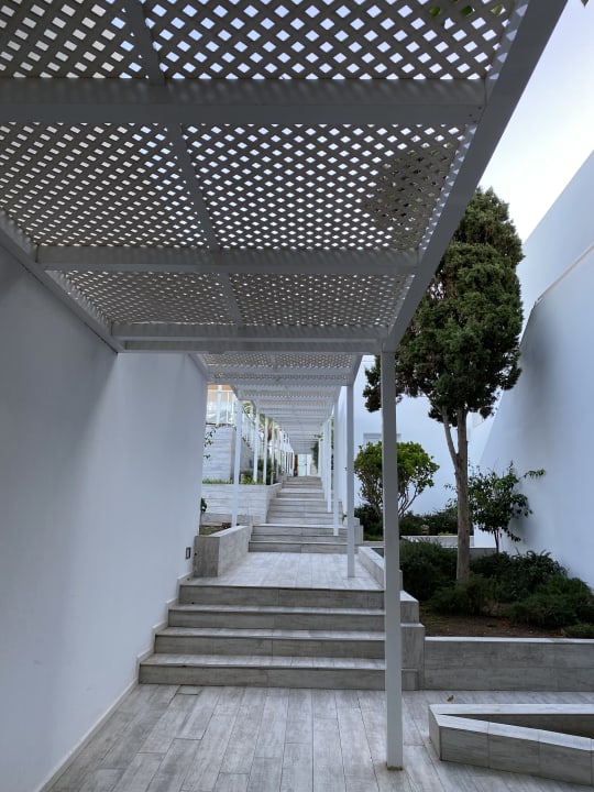 Gartenanlage Hotel Riu Palace La Mola