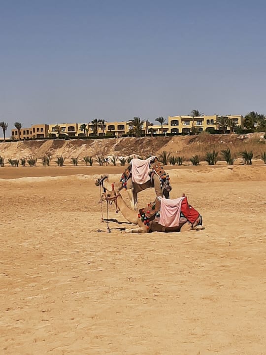 Strand Three Corners Fayrouz Plaza Beach Resort