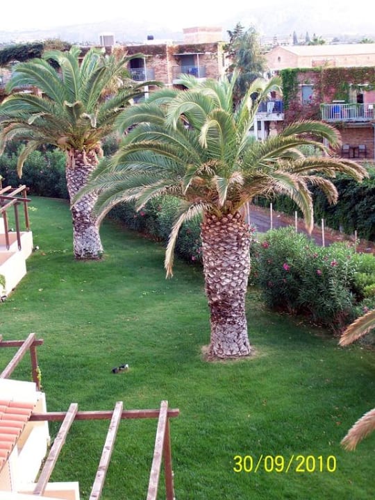 Palmengarten Anissa Beach & Village