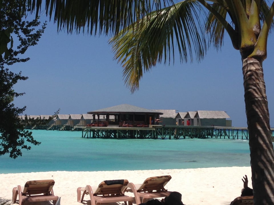 Blick auf die Bar Centara Ras Fushi Resort & Spa Maldives