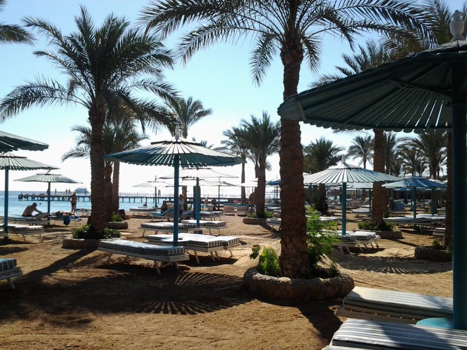 Le pacha Hotel Le Pacha Beach Resort