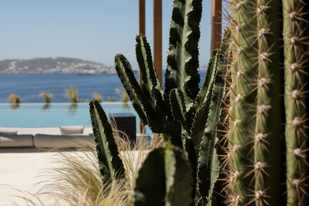 Pool Rocabella Mykonos Hotel & Spa