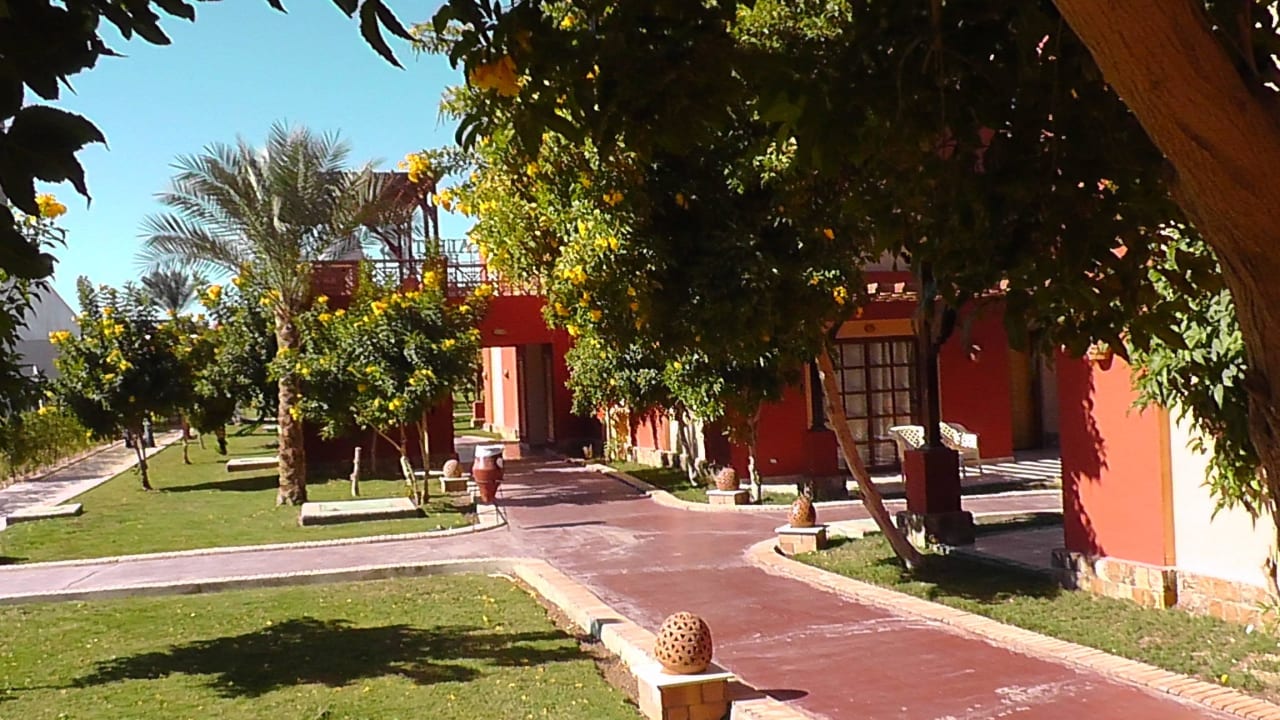 Gartenblick Pickalbatros Alf Leila Wa Leila Resort - Neverland Hurghada