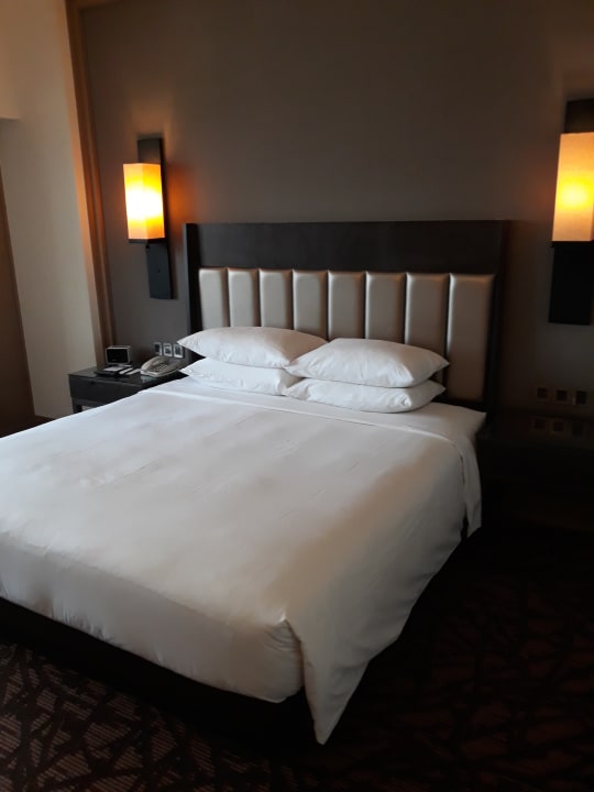 Zimmer Hilton Petaling Jaya