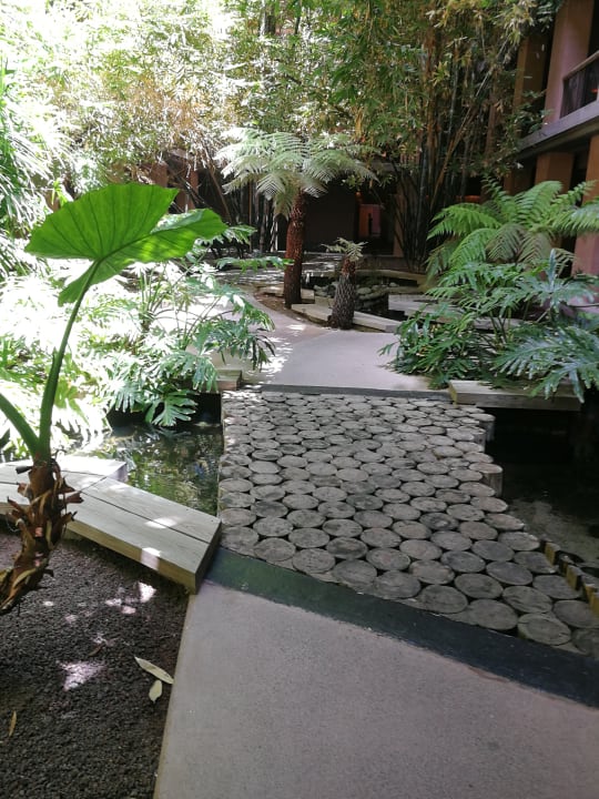 Gartenanlage Lopesan Baobab Resort